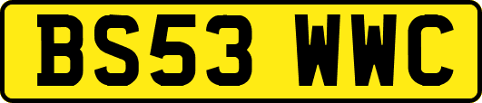 BS53WWC