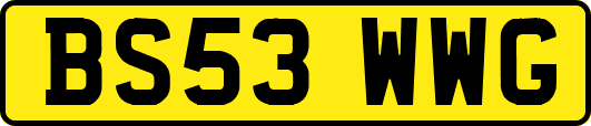 BS53WWG