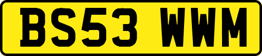 BS53WWM