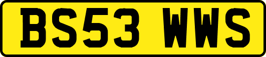 BS53WWS