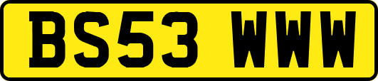 BS53WWW