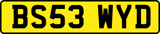 BS53WYD