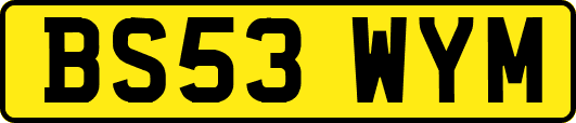BS53WYM