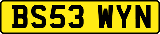 BS53WYN