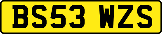 BS53WZS