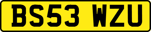 BS53WZU