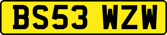 BS53WZW