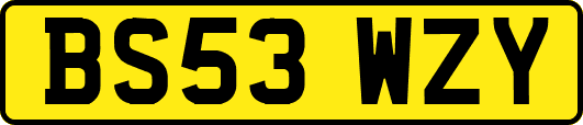 BS53WZY