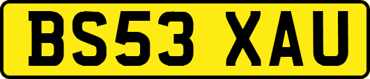 BS53XAU