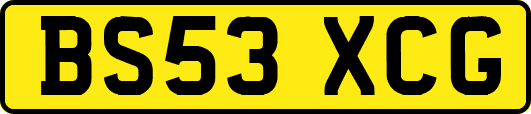 BS53XCG