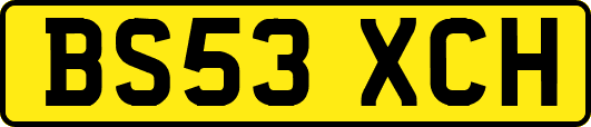 BS53XCH