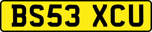 BS53XCU