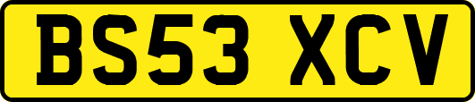 BS53XCV