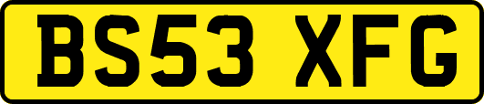BS53XFG