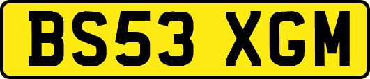 BS53XGM