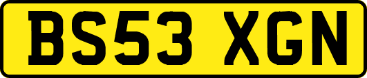 BS53XGN