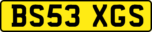 BS53XGS
