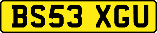 BS53XGU