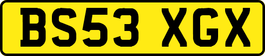 BS53XGX