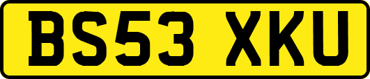BS53XKU