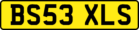 BS53XLS