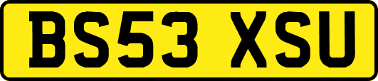 BS53XSU