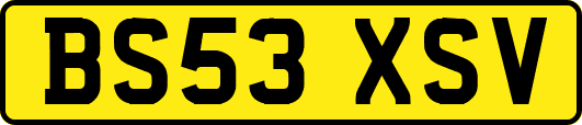 BS53XSV