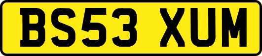 BS53XUM