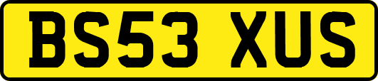 BS53XUS