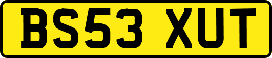 BS53XUT