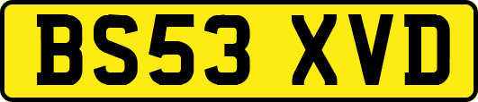 BS53XVD