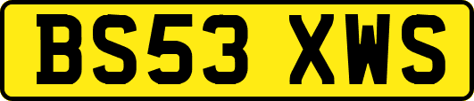 BS53XWS