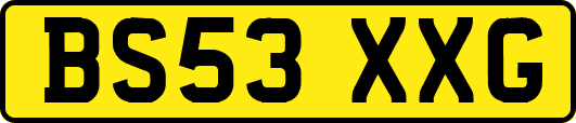 BS53XXG