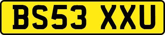 BS53XXU