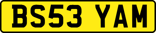 BS53YAM
