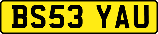 BS53YAU