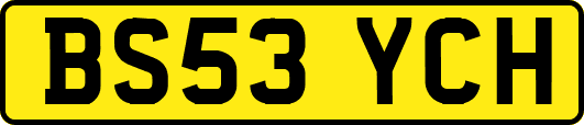 BS53YCH