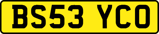 BS53YCO
