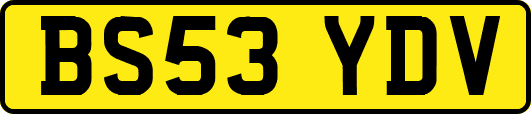 BS53YDV