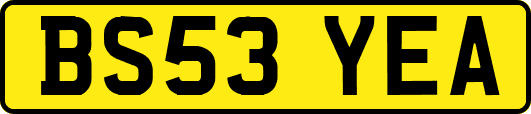 BS53YEA