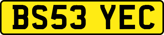 BS53YEC