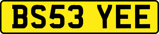 BS53YEE