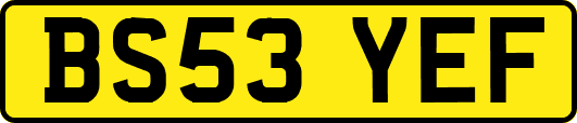 BS53YEF
