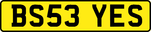 BS53YES