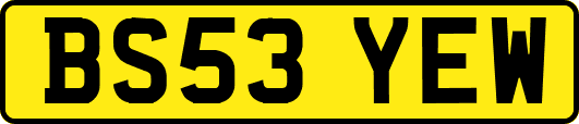 BS53YEW