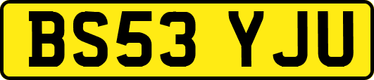 BS53YJU