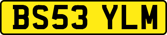 BS53YLM