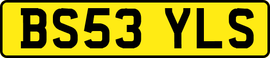 BS53YLS