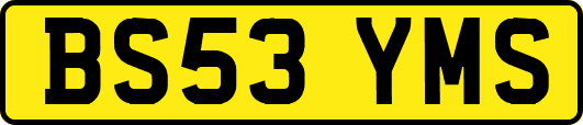 BS53YMS