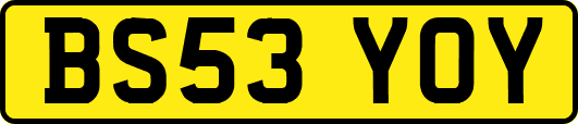 BS53YOY